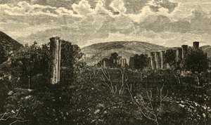 Samaria, 1890. autorstwa Unbekannt