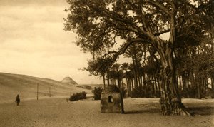 Saqqara - Piramida schodkowa widziana z Sycomore, c1918-c1939. autorstwa Unbekannt