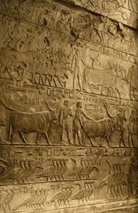 Saqqara - Grobowiec Ptahotepa - Dekoracja ścienna, c1918-c1939. autorstwa Unbekannt