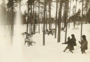 Szwecja. Szmata (nasiona) podczas łapania renifera. około 1900 autorstwa Unbekannt