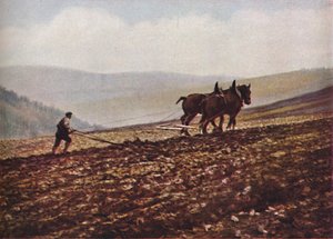 Szkocja, ok. 1930 autorstwa Unbekannt
