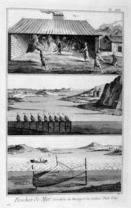 Rybołówstwo morskie, śledzie i sardynki, 1751-1777 autorstwa Unbekannt