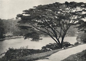Jezioro, Świątynia Świętego Zęba Reed i Biblioteka w Kandy, widziana na wschód od Victoria Drive, 192 autorstwa Unbekannt
