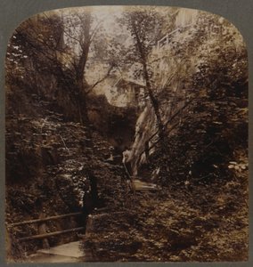 Shanklin Chine o światowej sławie, Isle of Wight, Anglia, c1910. autorstwa Unbekannt