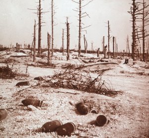 Muszle, Verdun, północna Francja, c1914-c1918 autorstwa Unbekannt