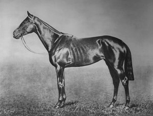 Miss, 1905-1928, 1911 autorstwa Unbekannt