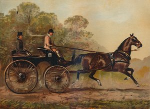 Pojedyncza uprząż Phaeton Horse Columbine. Własność Charles Baynes Esq., 1872, c1879 autorstwa Unbekannt