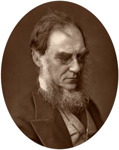 Sir Joseph Dalton Hooker, dyrektor ogrodów królewskich w Kew, 1881 r. autorstwa Unbekannt
