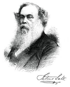 Sir Titus Salt, brytyjski producent i dobroczyńca, ok. 1880 r. autorstwa Unbekannt
