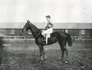 Drapacz chmur, 1911. autorstwa Unbekannt