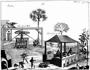 Praca niewolnicza na plantacji cukru w Indiach Zachodnich, 1725 autorstwa Unbekannt
