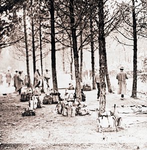 Żołnierze i sfory w lesie, c1914-c1918 autorstwa Unbekannt
