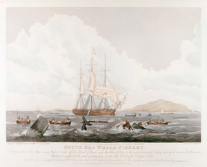 Łowisko wielorybów na Morzu Południowym, 1825 r. autorstwa Unbekannt