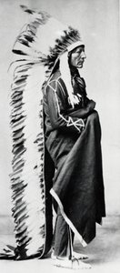 Stojący niedźwiedź, wódz Dakota Sioux, Indianie z równin północnoamerykańskich, c1885-c1890 autorstwa Unbekannt