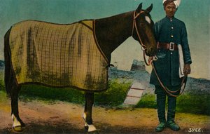 Syce, ok. 1910 autorstwa Unbekannt