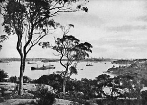 Sydney Harbour, von Cremorne Point, um 1900 von Unbekannt
