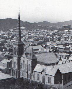 Te Aro, z Terrace, Wellington, koniec XIX-początek XX wieku. autorstwa Unbekannt