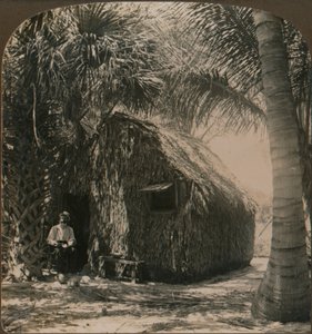 Kryty strzechą domek w Cocoanut Grove, Floryda, USA, c1900 autorstwa Unbekannt