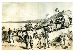 Przybycie nad jezioro Ngami, 1883 autorstwa Unbekannt