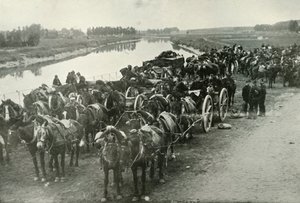Bitwa rzek, 1919. autorstwa Unbekannt