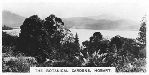 Ogrody Botaniczne, Hobart, Tasmania, 1928 autorstwa Unbekannt