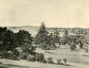 Ogrody Botaniczne Sydney, 1901. autorstwa Unbekannt