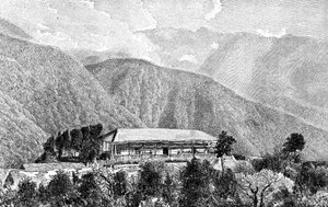 Hacjenda Cussillani, Yungas, Boliwia, 1895 r. autorstwa Unbekannt