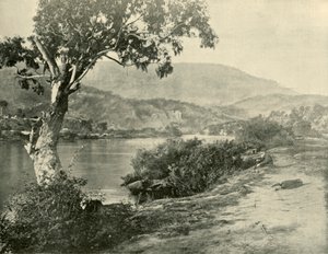 Derwent w New Norfolk, 1901. autorstwa Unbekannt