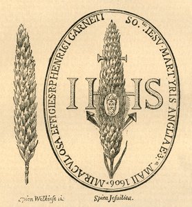 Twarz w słomie. - Z Opatów Anthologia, 1613, 1897. autorstwa Unbekannt