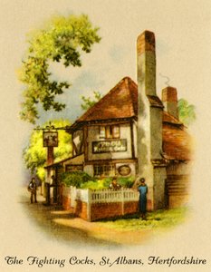 Walczące koguty, St. Albans, Hertfordshire, 1936. autorstwa Unbekannt