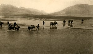Pierwszy widok na Mount Everest, c1918-c1939. autorstwa Unbekannt