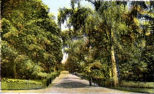 The Flower Walk, Kensington Gardens, Londyn, XX wiek autorstwa Unbekannt