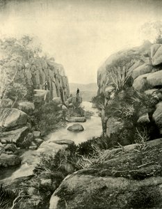 Wąwóz, Buffalo Falls, Alpy Wiktoriańskie, 1901. autorstwa Unbekannt