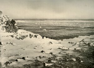 Ostatni z pingwinów tuż przed ich migracją w marcu, ok. 1908, 1909. autorstwa Unbekannt