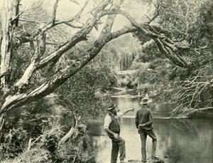 Miejsce startu, Upper Yarra, Victoria, 1901. autorstwa Unbekannt