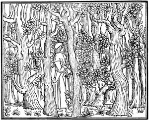 Kochanek w lesie, 1499 1964 autorstwa Unbekannt