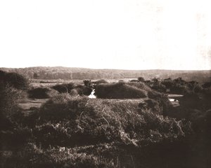 New Forest, Hampshire, 1894. autorstwa Unbekannt