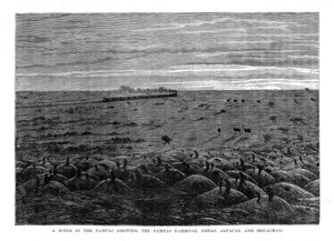 Kolej Pampas, niziny Ameryki Południowej, 1877 autorstwa Unbekannt