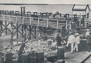 Przemysł połowu pereł - powłoka opakowaniowa, 1923. autorstwa Unbekannt