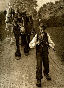 Pługacz, 1900 autorstwa Unbekannt