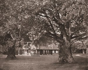 Herbaciarnia Queens, Frogmore, Berkshire, 1894. autorstwa Unbekannt