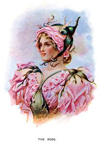 Róża, 1899 autorstwa Unbekannt