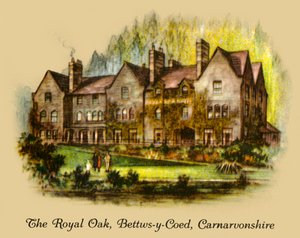 Dąb Królewski, Bettws-y-Coed, Carnavonshire, 1936. autorstwa Unbekannt