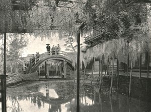 Te New Ginoike Pon d Plan d Wisteria, Kameido, Toi, Japonia, 1895. autorstwa Unbekannt