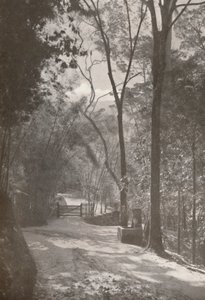 Duch Tijuki, 1914 autorstwa Unbekannt