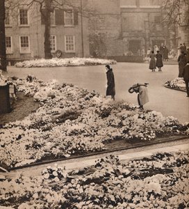 Państwowy pogrzeb króla Jerzego V w Windsor: wieńce na pamiątkę, 1936 autorstwa Unbekannt