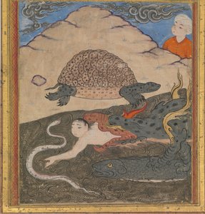 Żółw, Folio z cudów stworzenia 