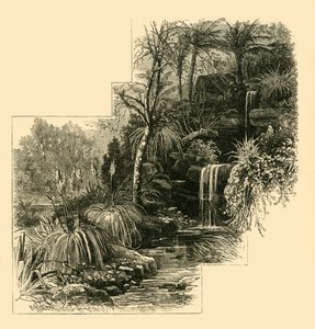 Ogrody Tropikalne, Park Battersea, ok. 1878 r. autorstwa Unbekannt