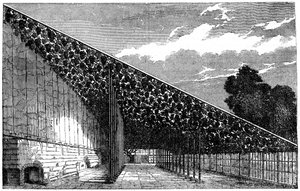 Winnica w Hampton Court, XIX wiek autorstwa Unbekannt