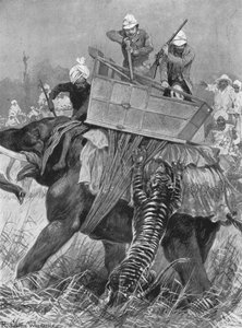 Wizyta księcia Walii w Indiach, 1876: Książęcy słoń naładowany przez tygrysa, 1901. autorstwa Unbekannt